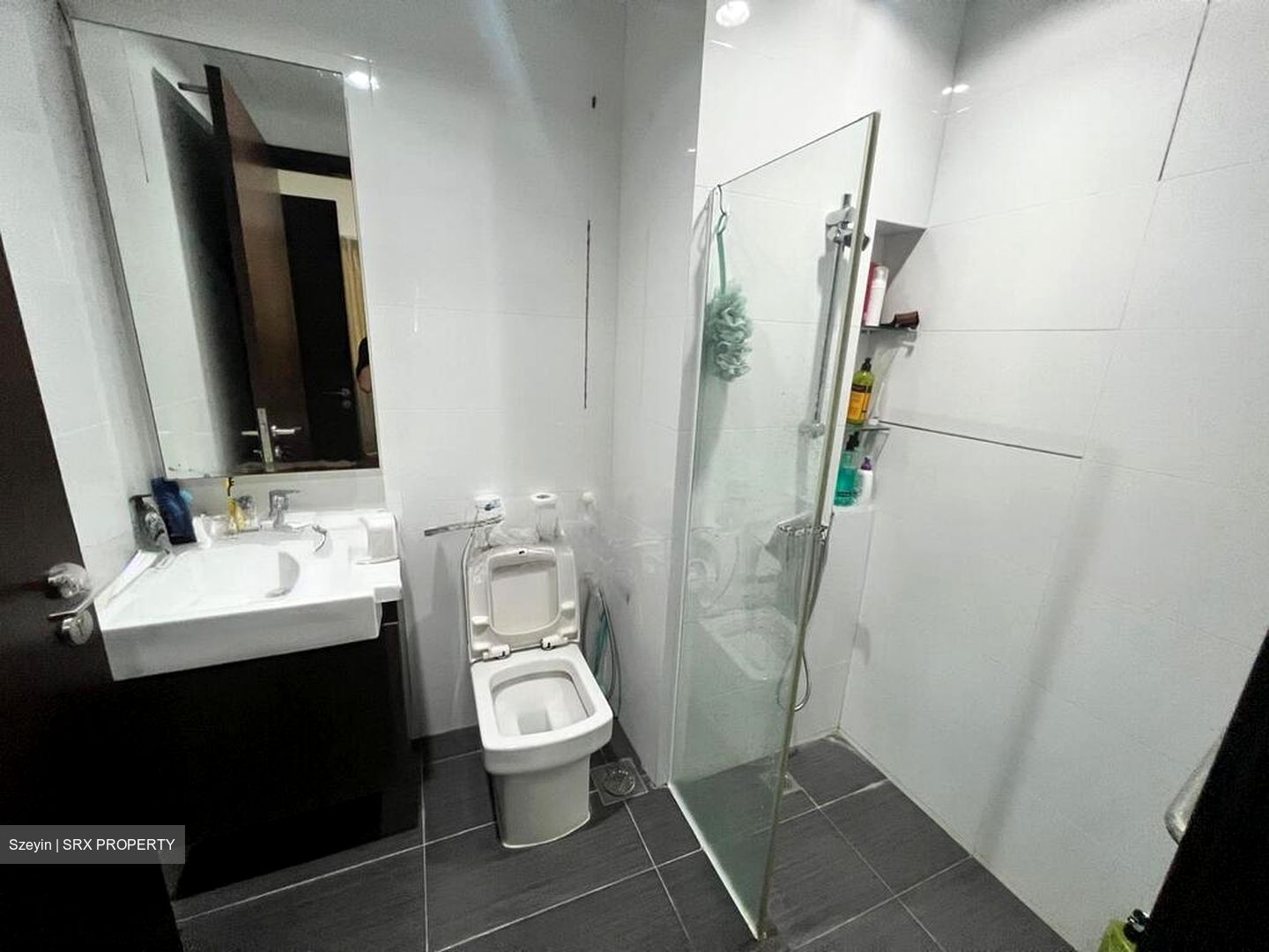 Silverscape (D14), Apartment #501680771